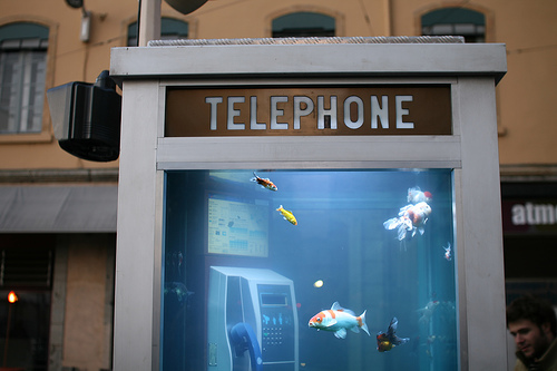 phone booth aquarium by nicolas nova at flickr
